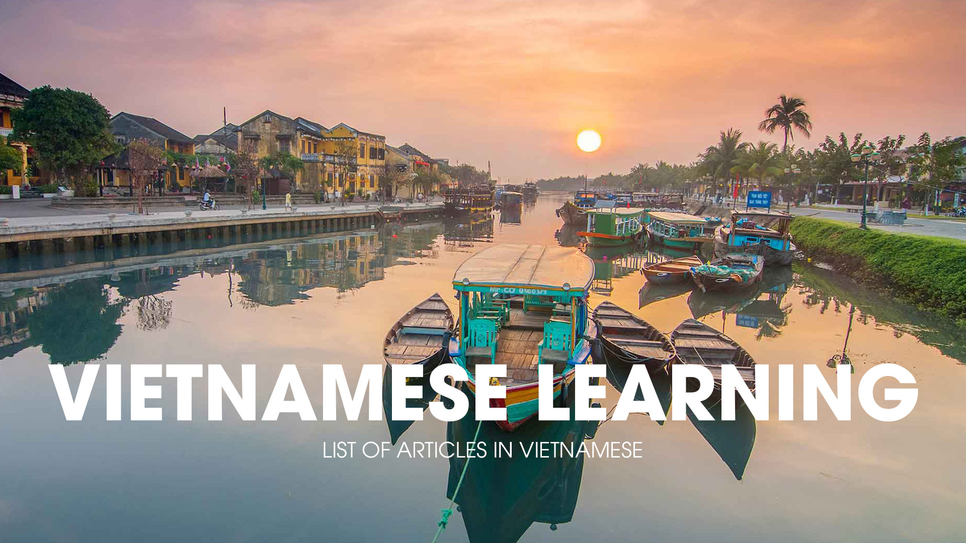Vietnamese articles in Vietnamese Learning