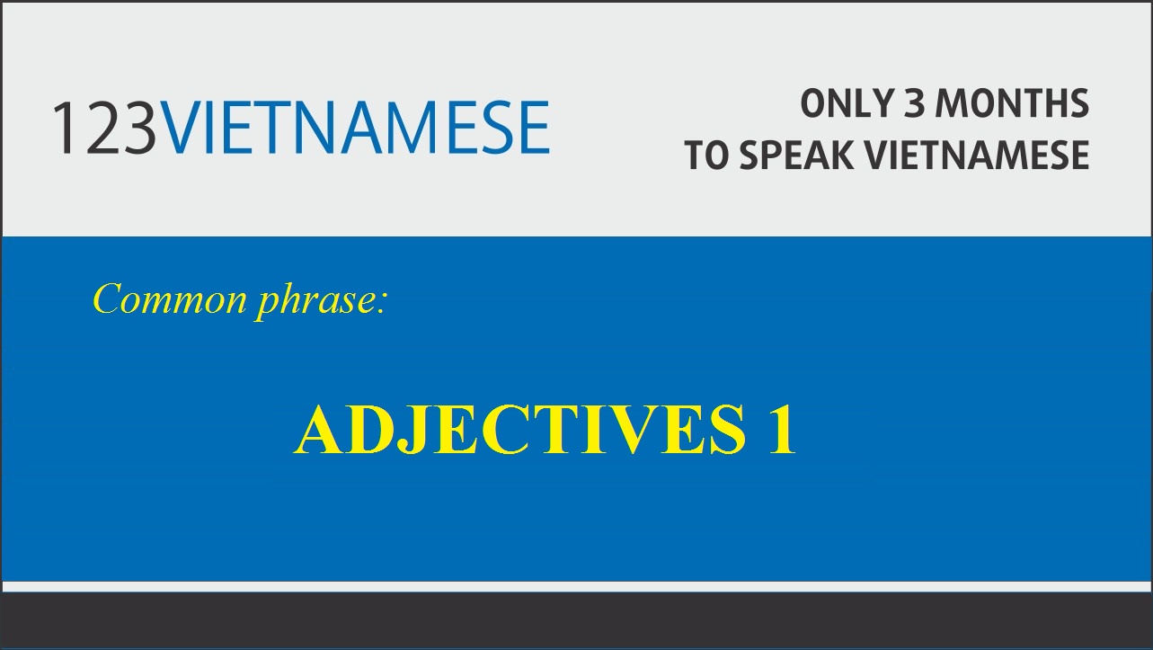 Common Vietnamese phrases