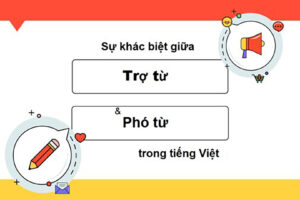 Phân biệt loại Trợ từ và Phó từ trong tiếng Việt